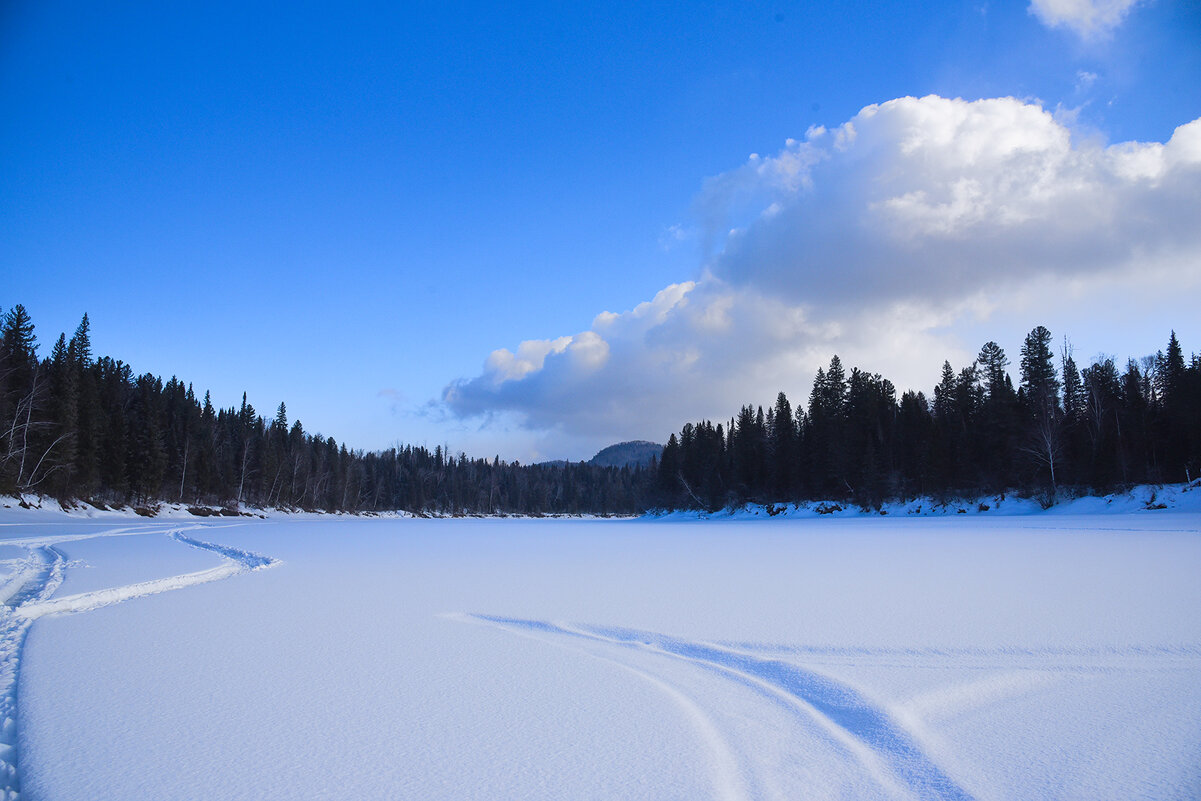 Прекрасный выходной. - юрий Амосов