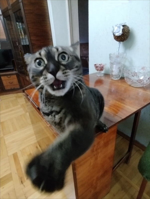 Выключи свою камеру! - Надежда 