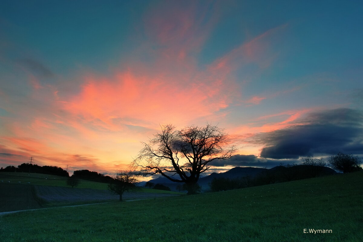 sunset - Elena Wymann