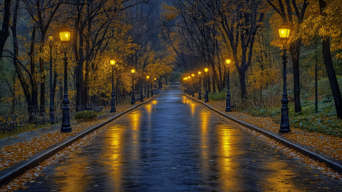 Вечер в парке - Aleksey Afonin