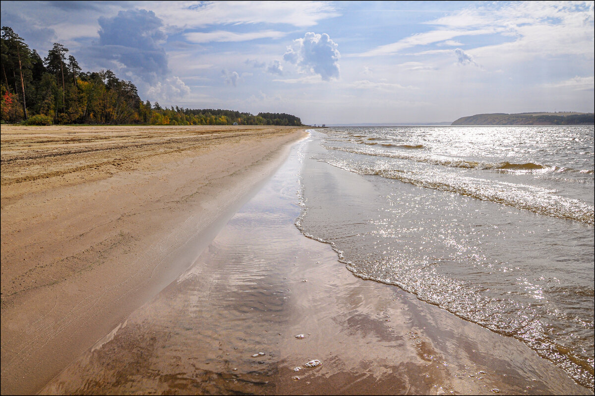 Волга - **** vedin