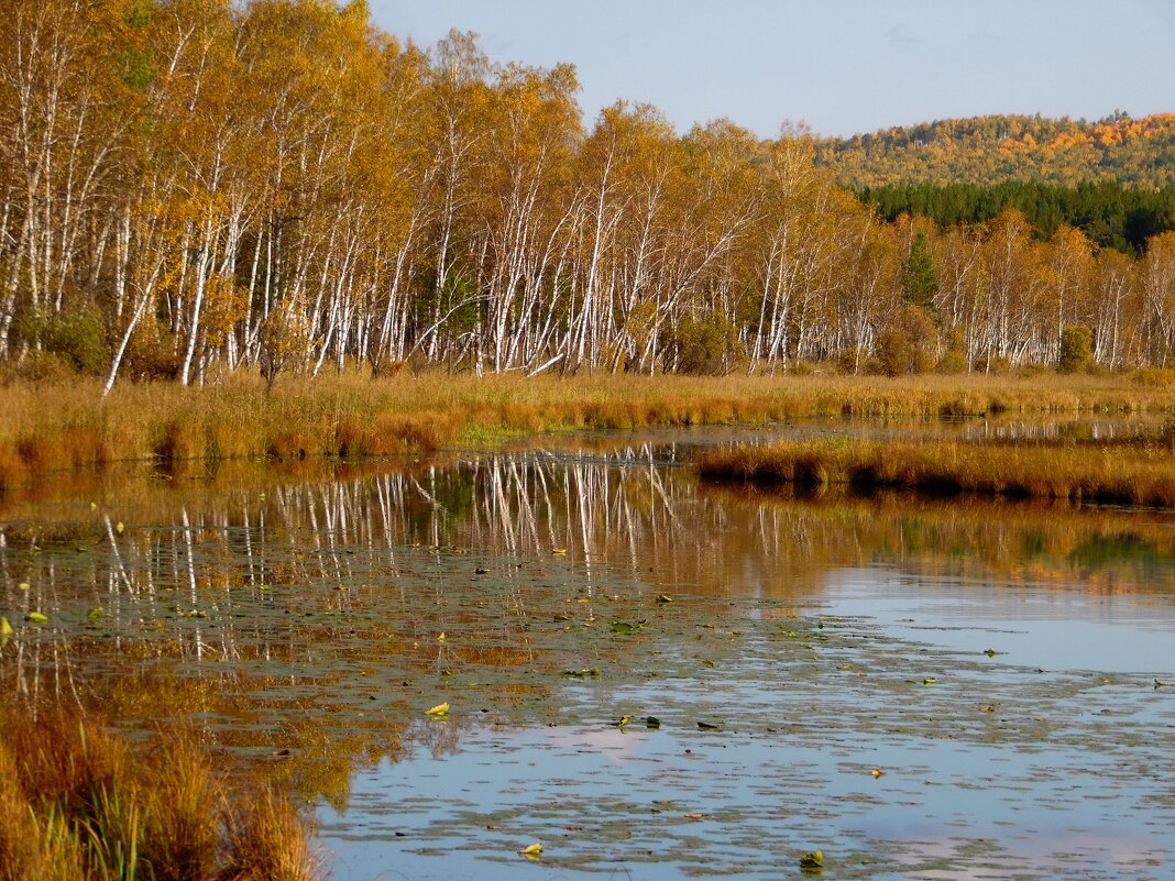 Осень у озера. - nadyasilyuk Вознюк
