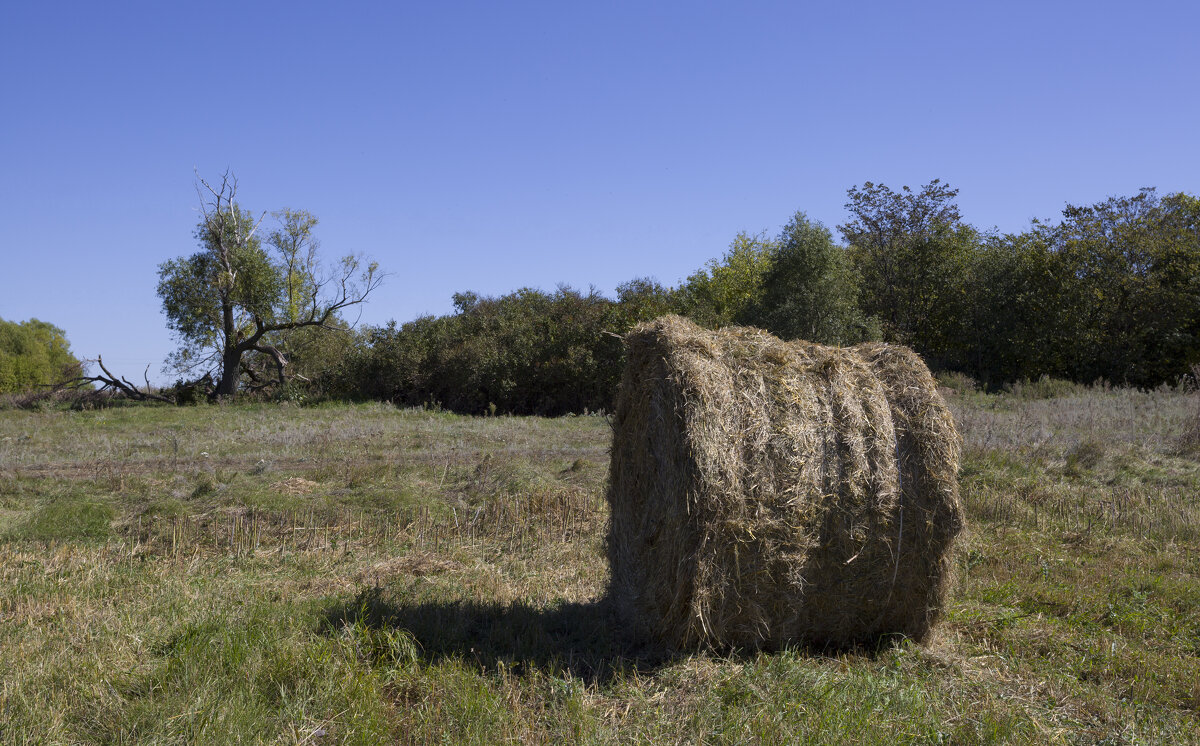 *** - Елена Агеева