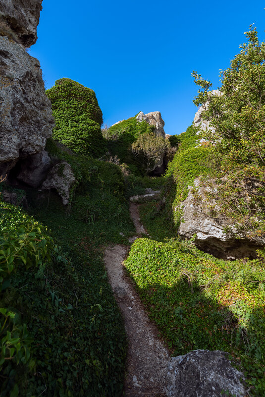 ** - Виталий Емельянов