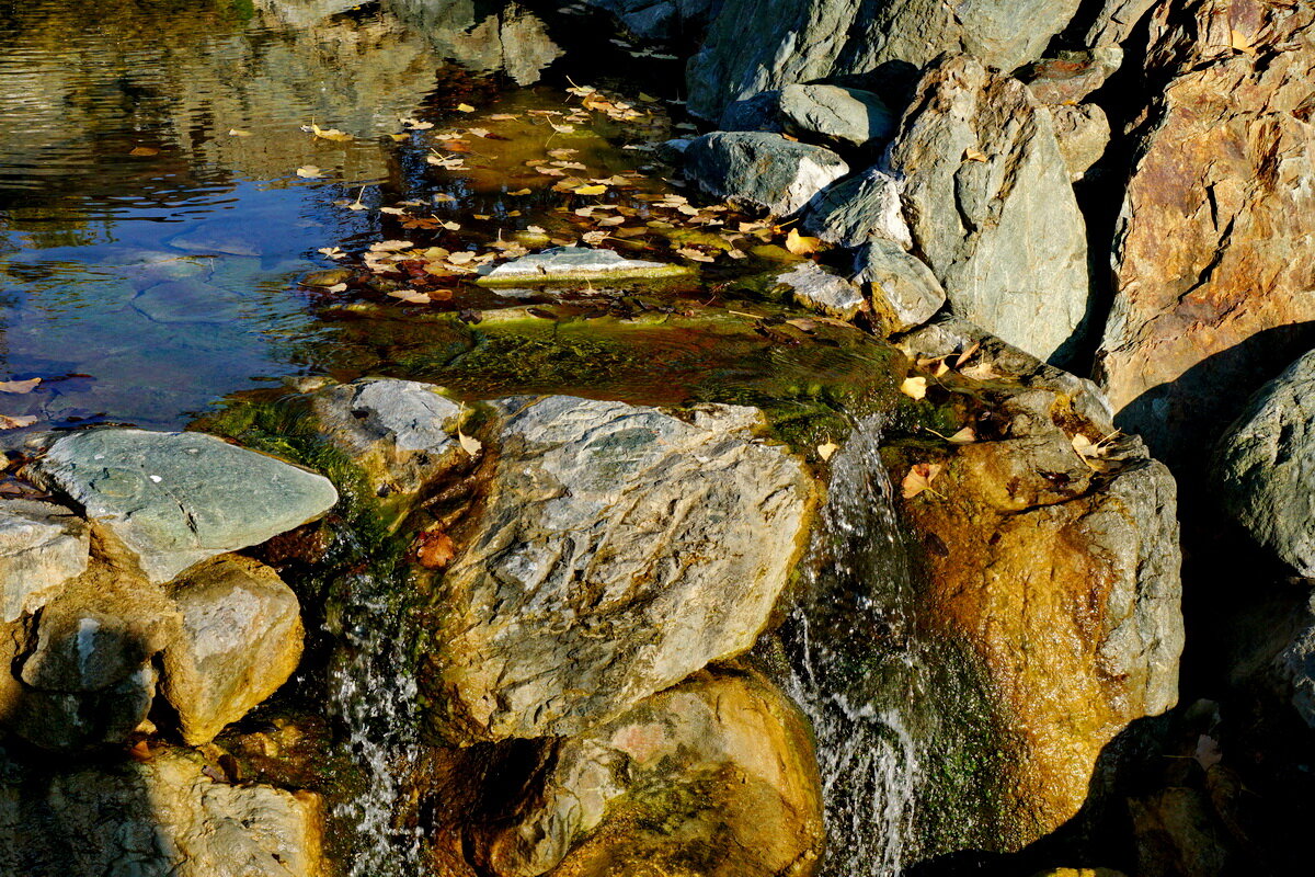 " Японский сад " Краснодар... - Николай Саржанов