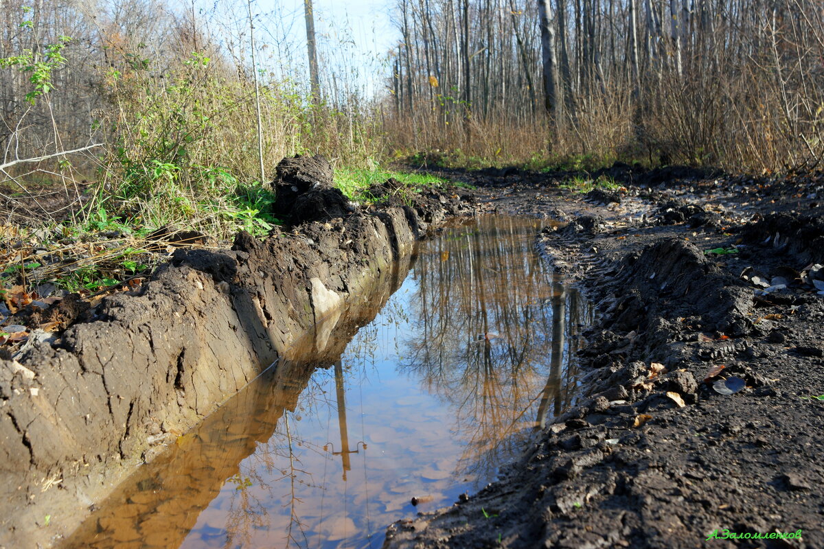 И вот уж Параскева Грязниха на дорогах грязь разводит... - Андрей Заломленков
