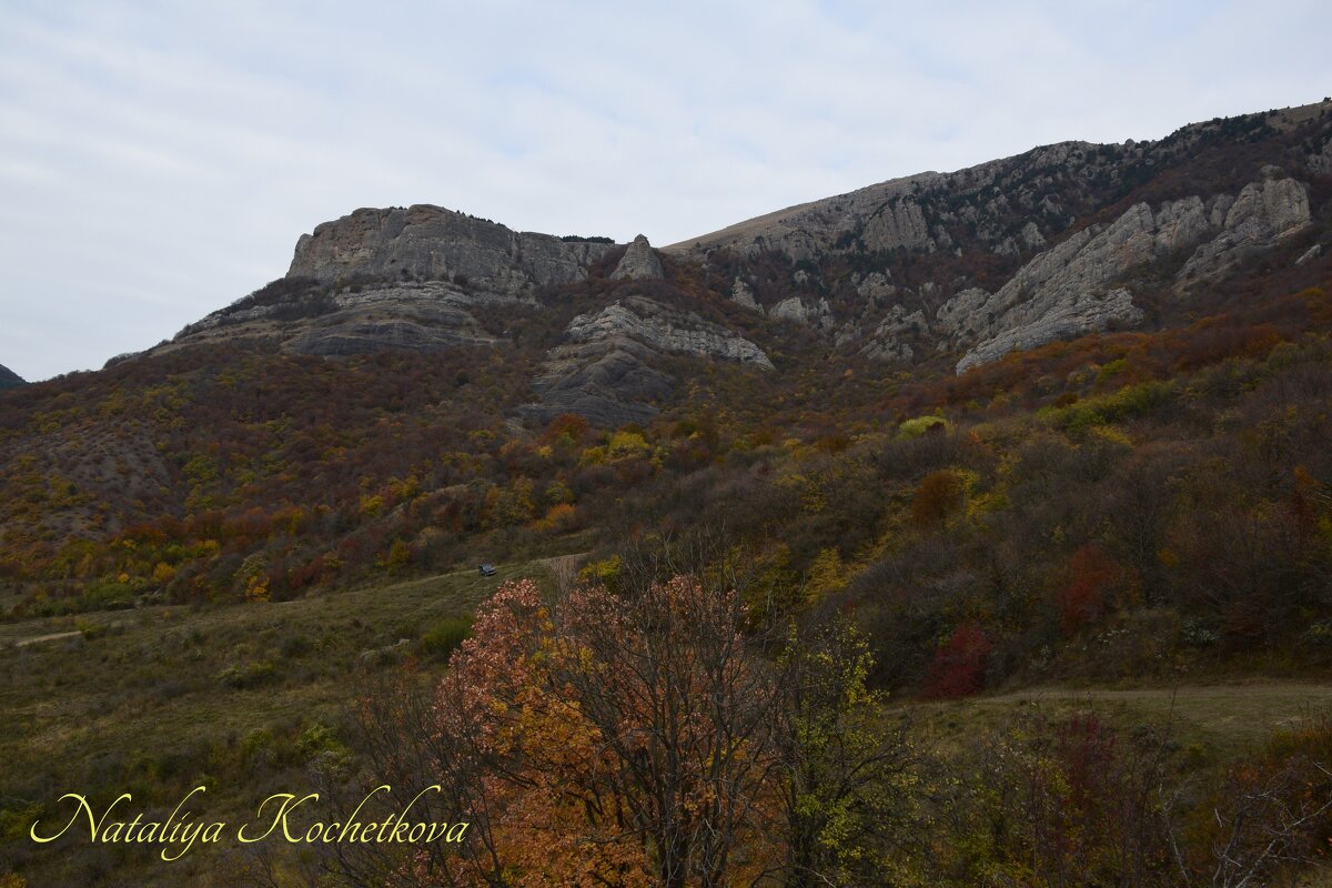 Природа Крыма - Amazing Cosmea