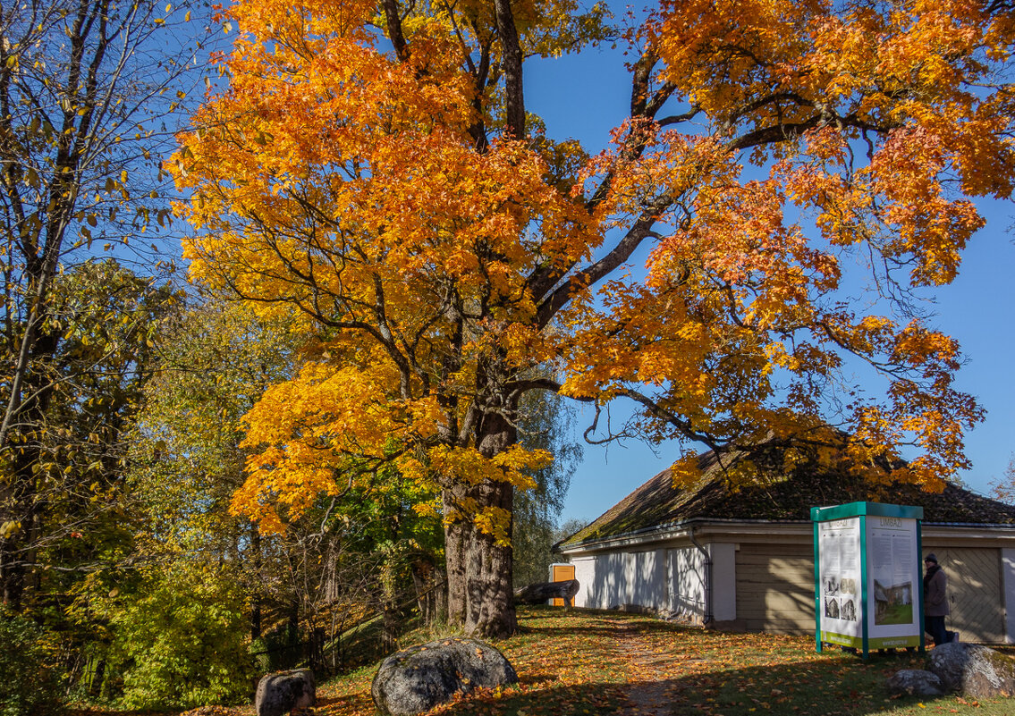 *** - Геннадий Порохов