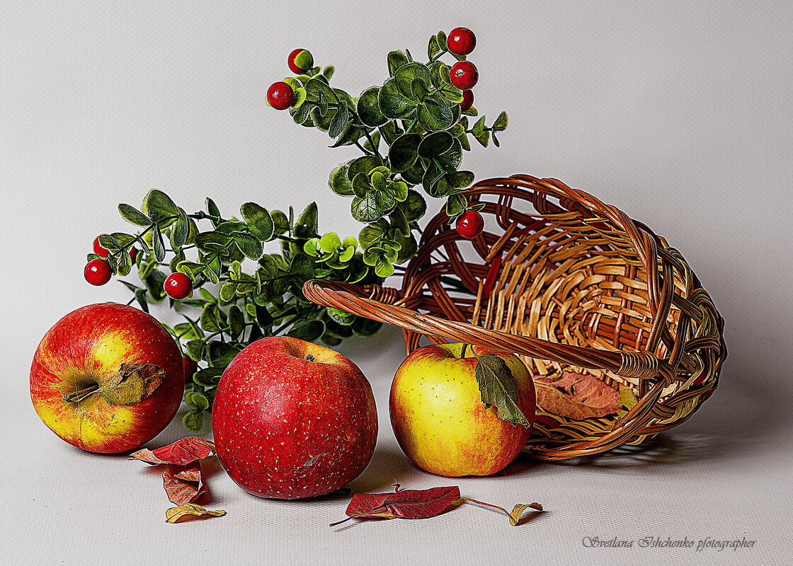 Натюрморт - Светлана Ищенко