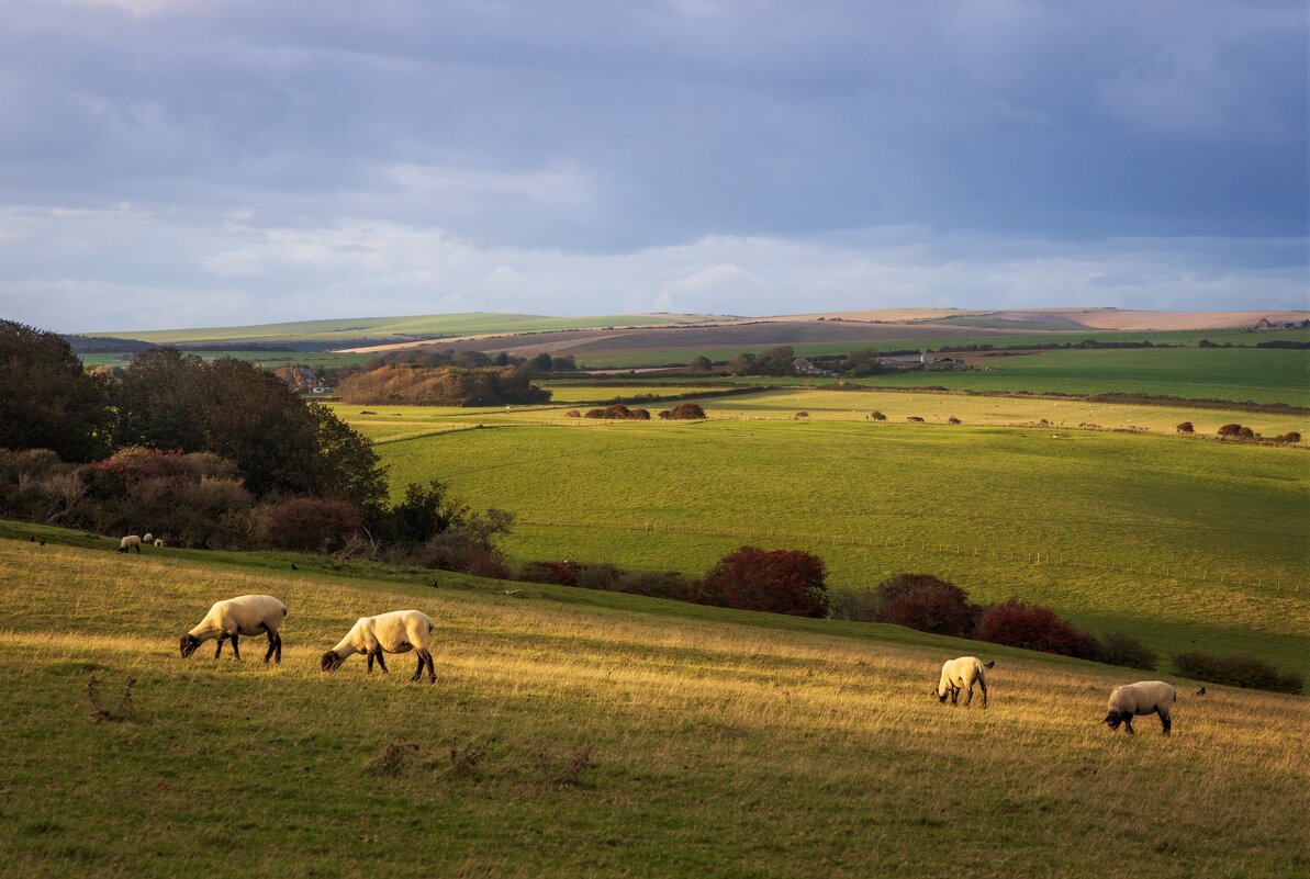 Пастораль - Алекс Римский