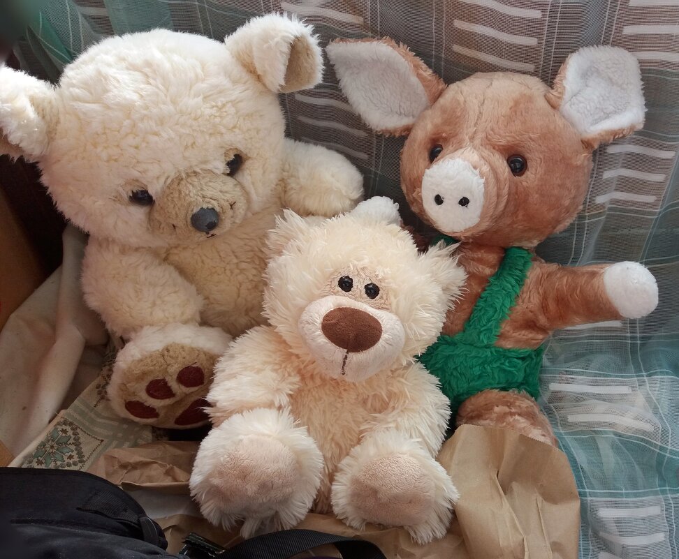 Мишки и примкнувший к ним Степашка - Galina Solovova