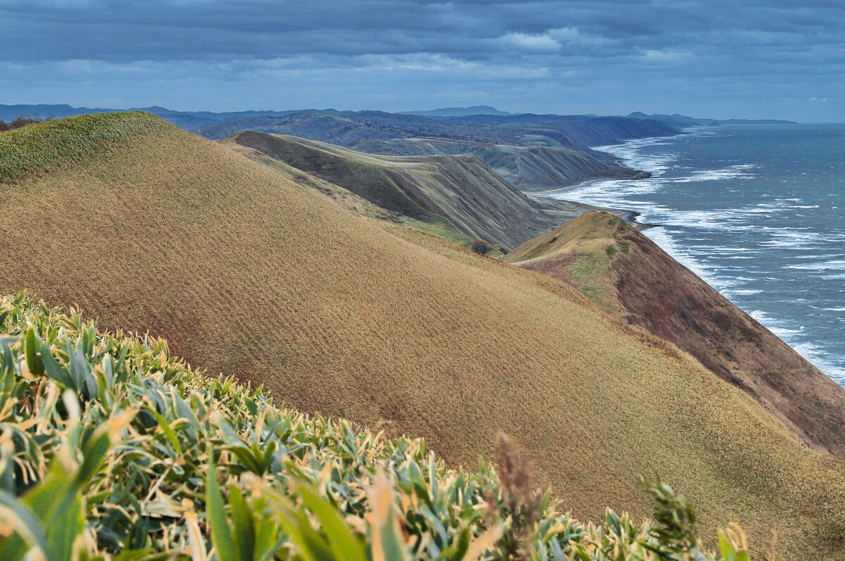 В сторону пролива Лаперуза. - fillarret-2 