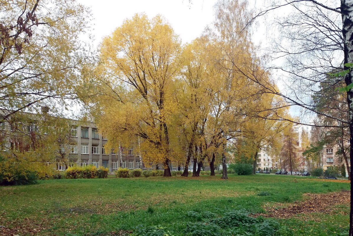 Последние дни октября - Galina Solovova