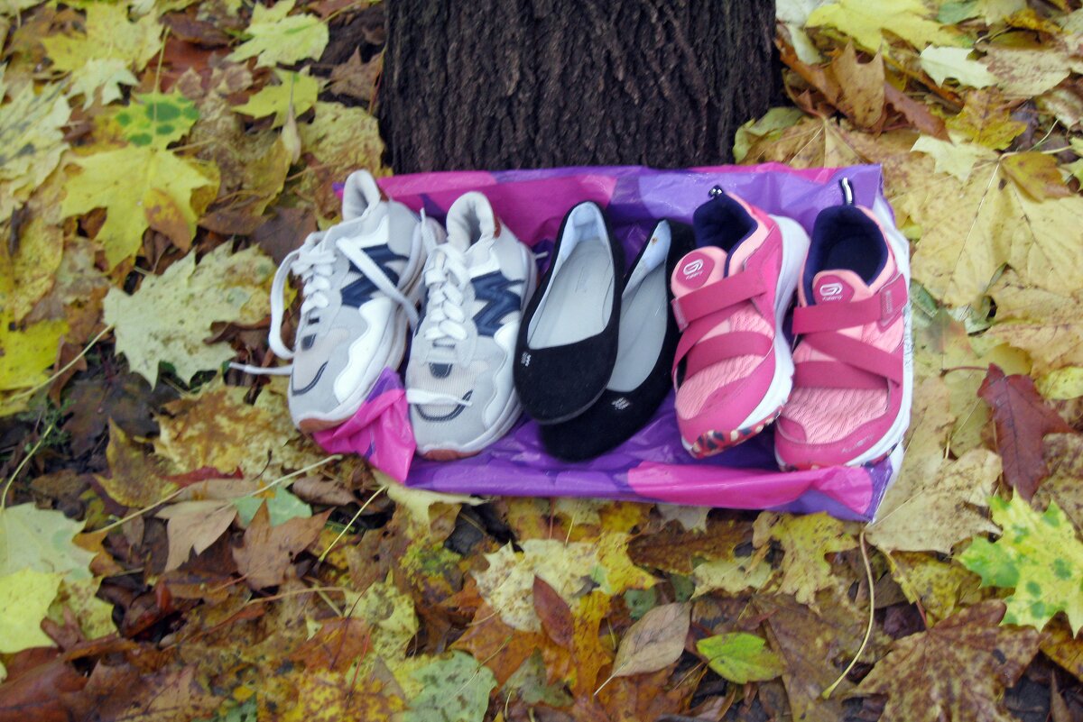 На тропинке в парке кто-то выложил за ненадобностью - Galina Solovova