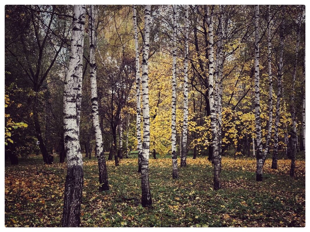 *** - someone somewere