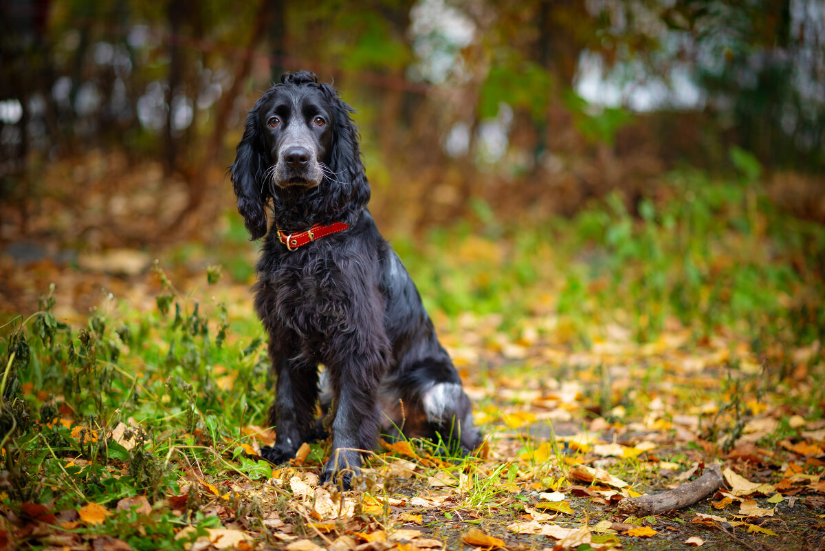 Джек - Вячеслав Дроздов