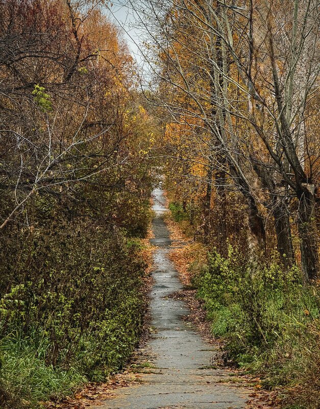 Осенний коридор. - Сергей Адигамов