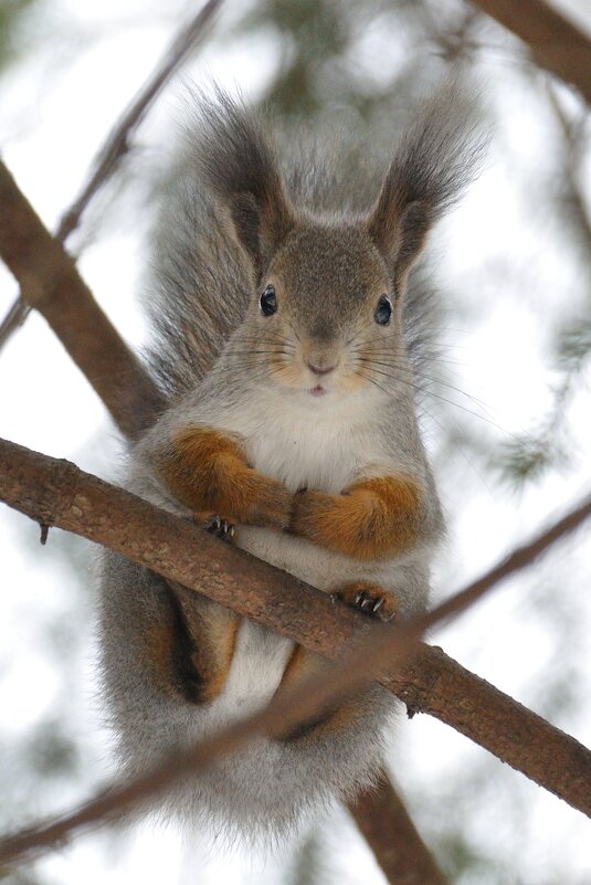 Взгляд в объектив - Иван Генералов
