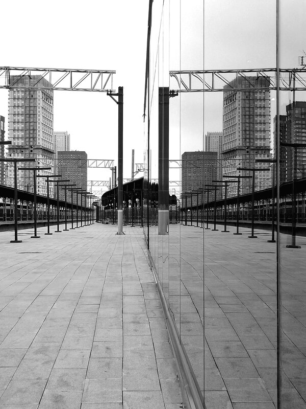 Симметрия и отражение. Черно-белая фотография - Любимова Ольга 