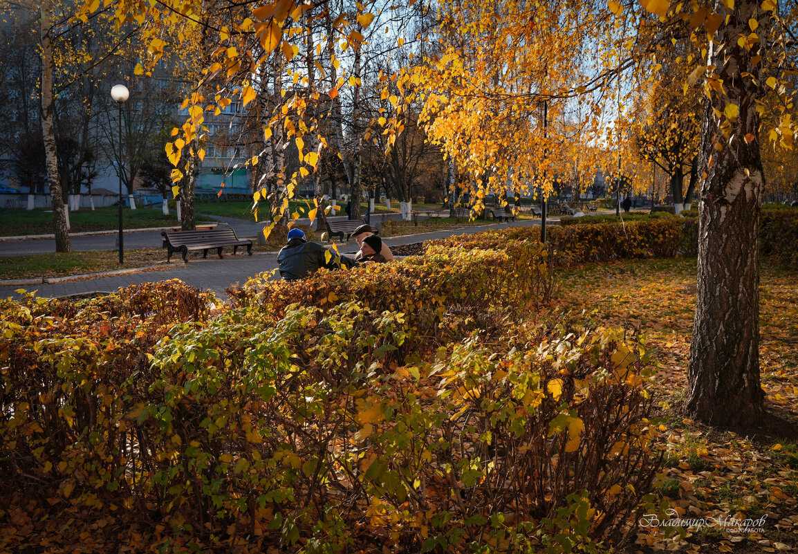 "На старой аллее в конце октября. Старики о политике"© - Владимир Макаров "На старой аллее в конце октября. Старики о политике"© - Владимир Макаров