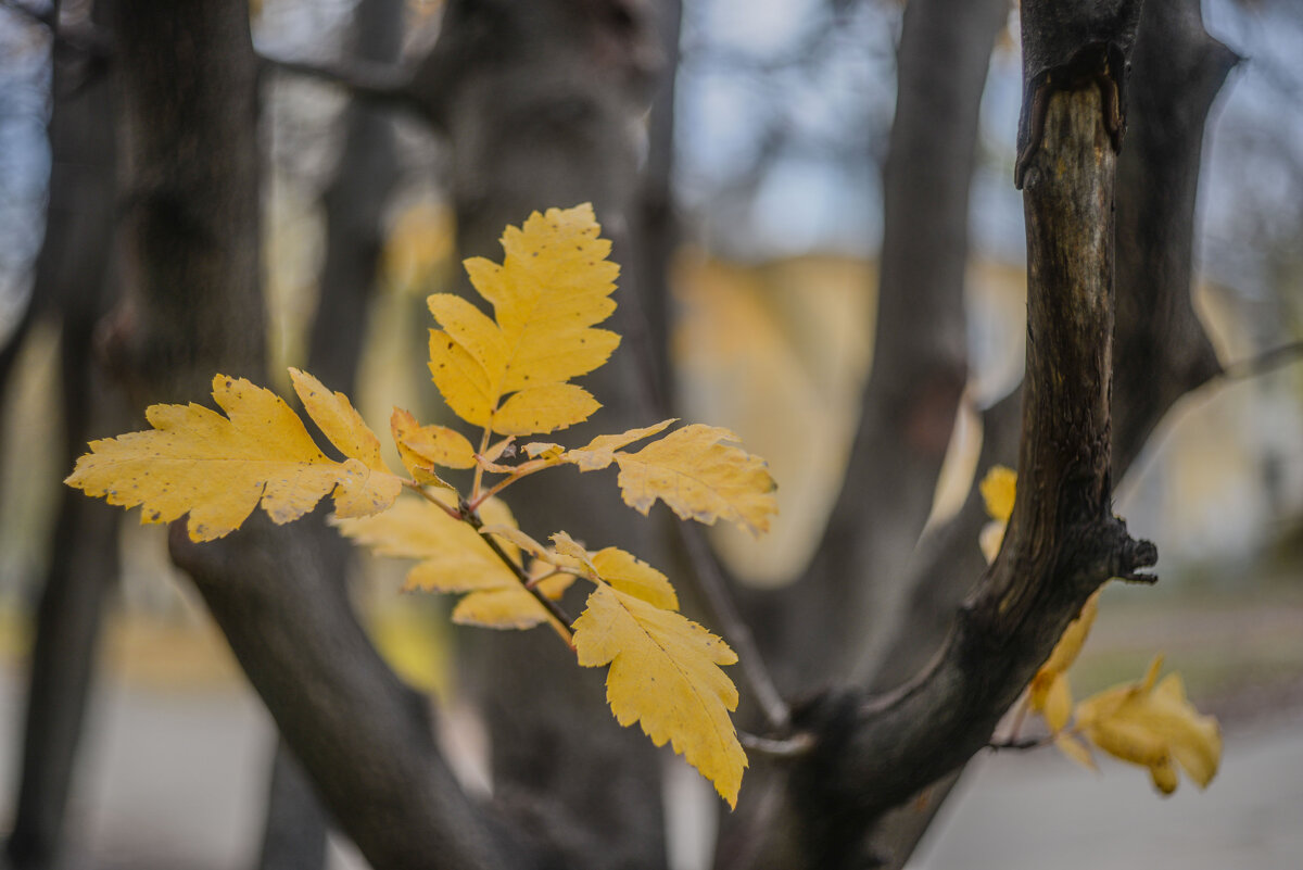 Осень.. - Евгений 