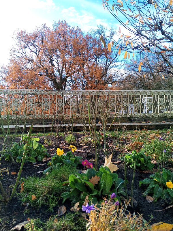 Осень - Сапсан 