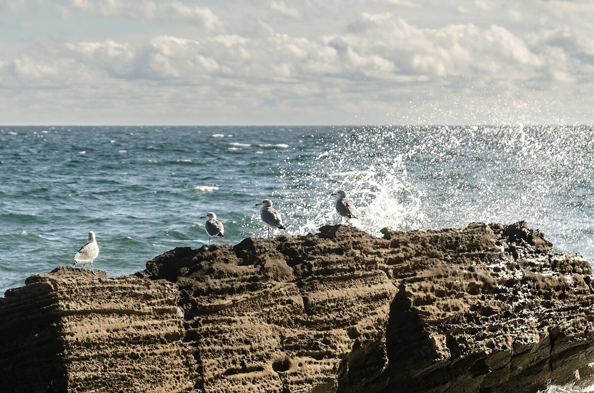 *** - Виктор Иванович Чернюк