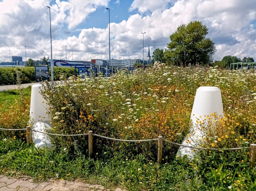 Прогулка по променаду Круизного терминала - Veera V