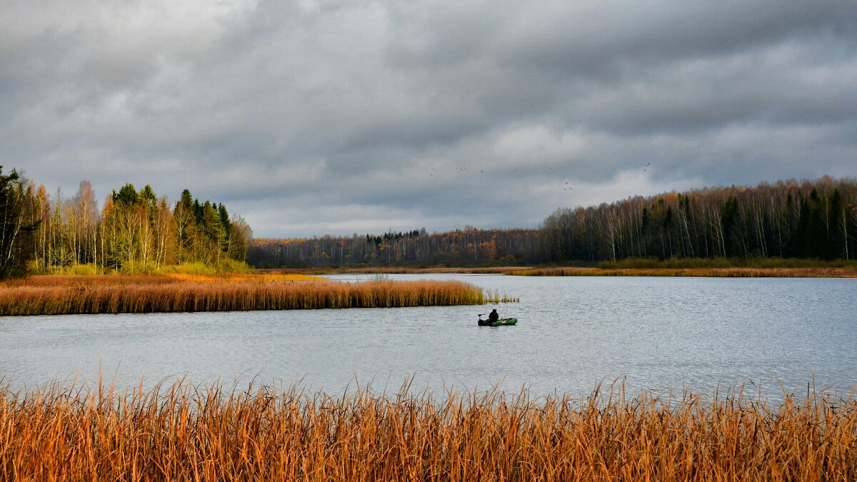 Одинокий рыбак на озере. - Милешкин Владимир Алексеевич 