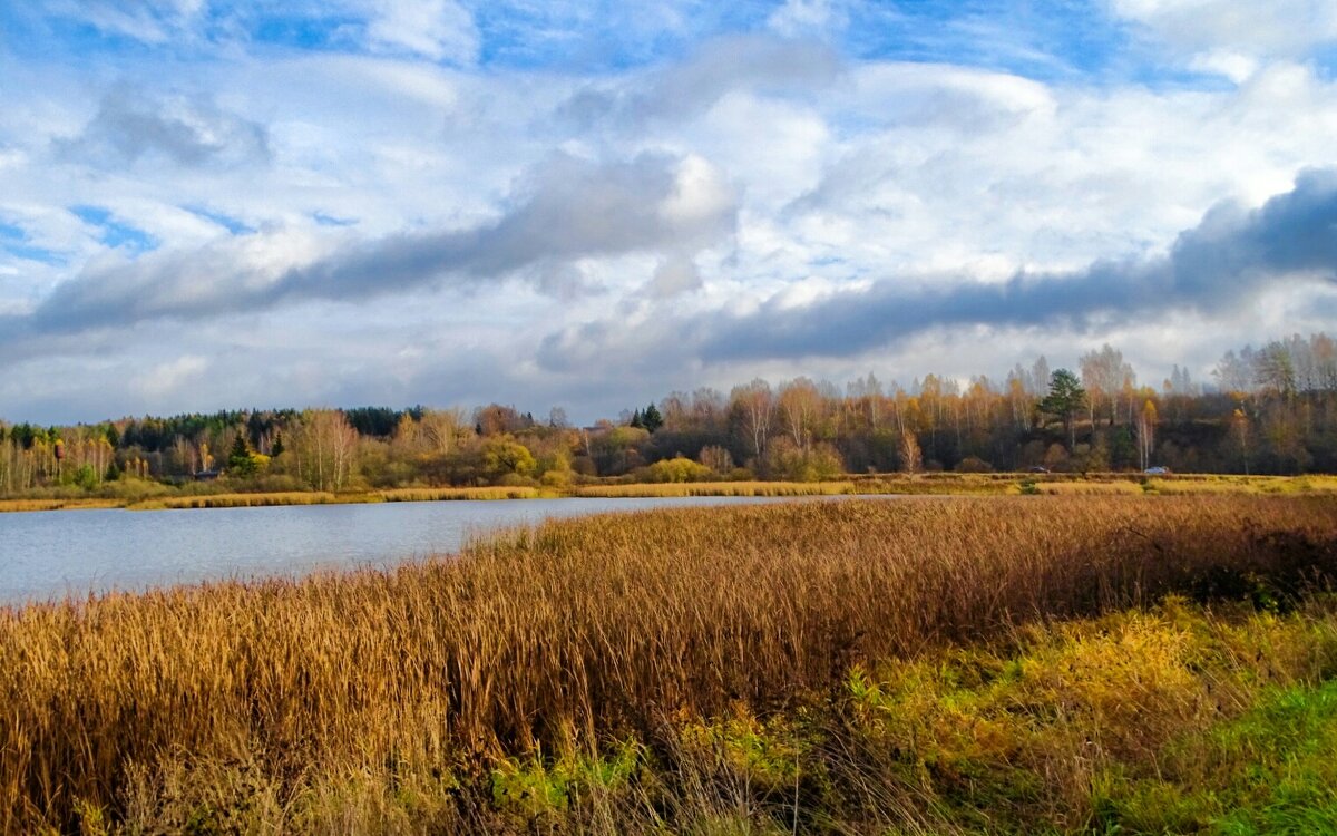 Осень в конце октября. - Милешкин Владимир Алексеевич 