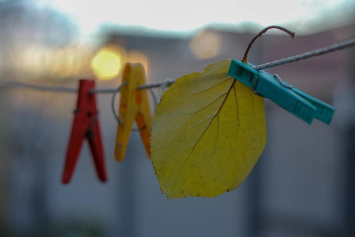 Осень на прищепке - Оксана Новик 