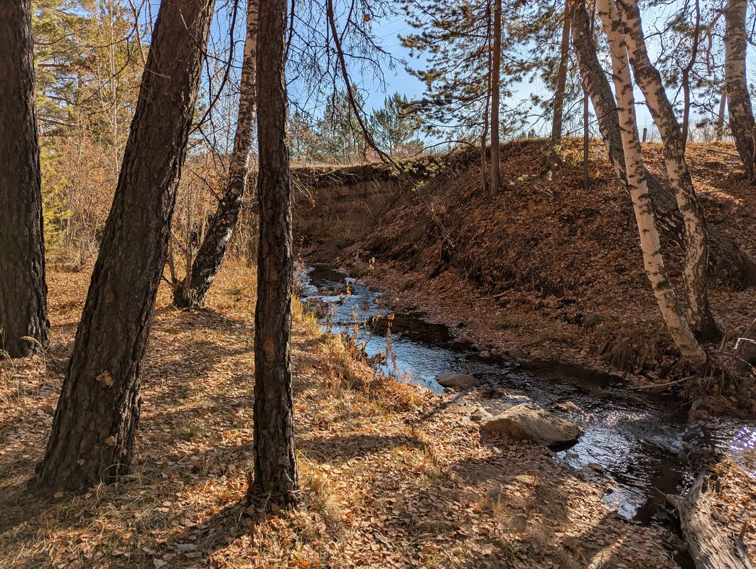 Лесная речка Каркаралинка. - Андрей Хлопонин