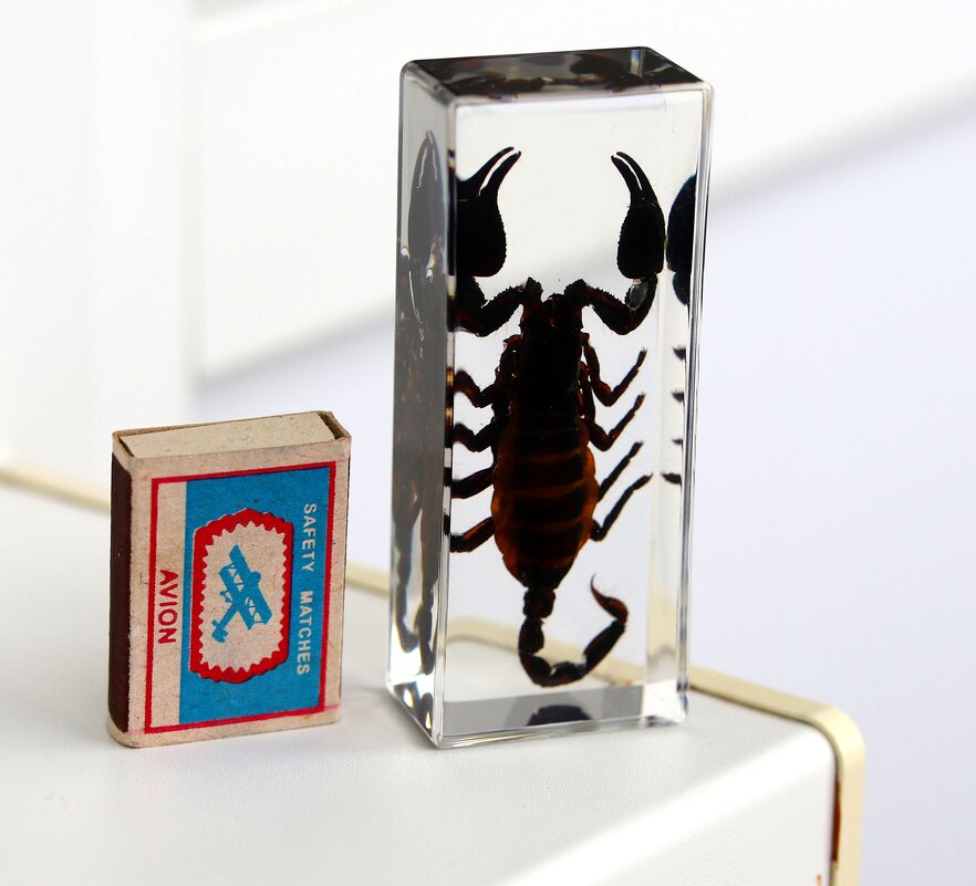 Скорпион - Андрей Л. В.