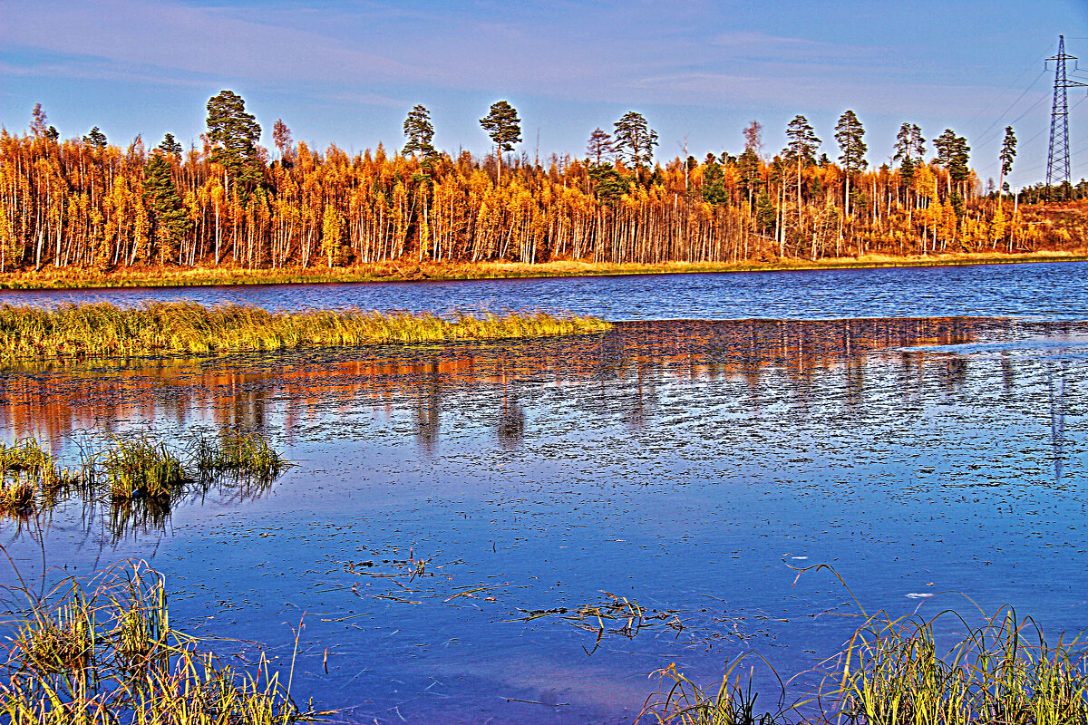 Протока Сырой Аган осенью,.,.. - Владимир 