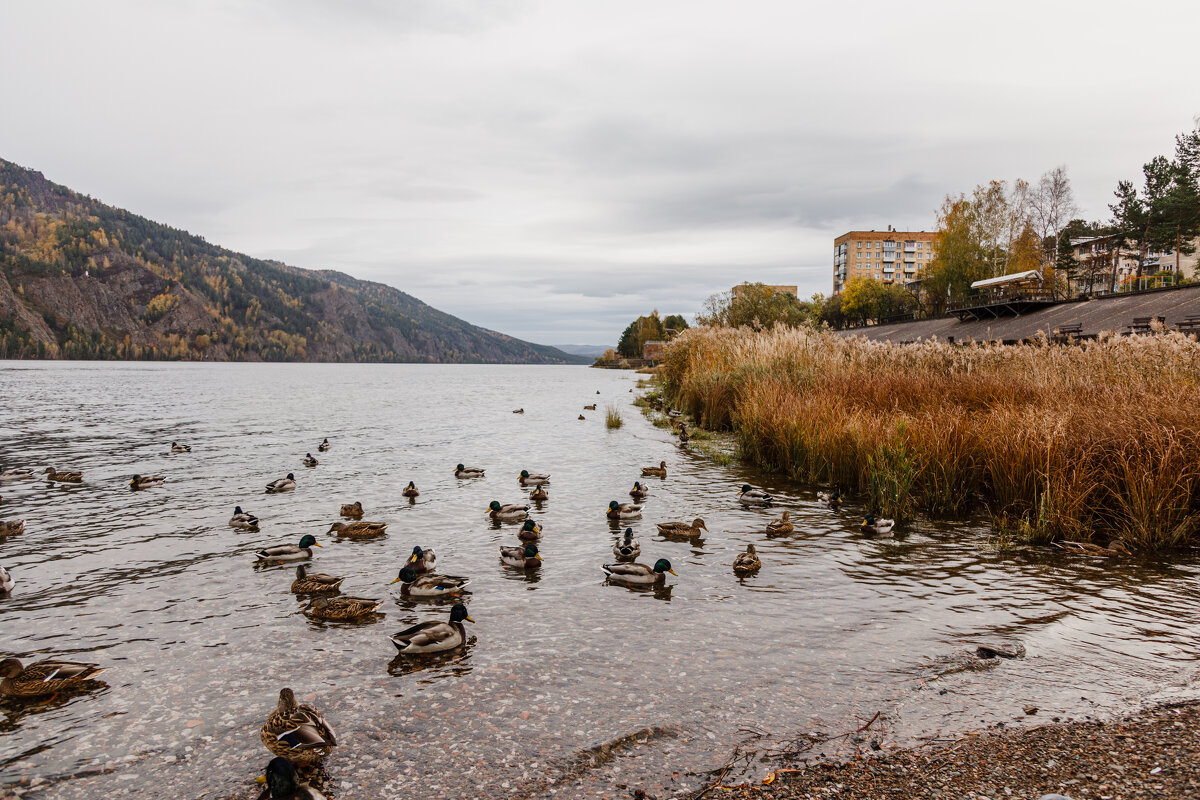Дивногорск - Юлия Ермолаева