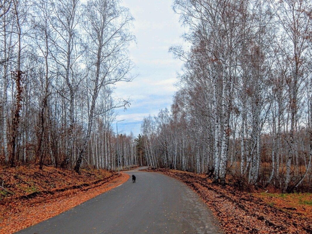 Осенний марафон! - Елена Хайдукова  ( Elena Fly )