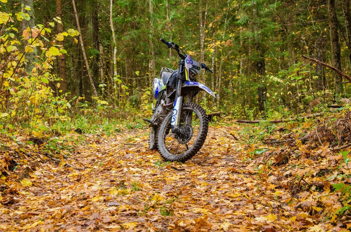 __ - Галина Ложечникова