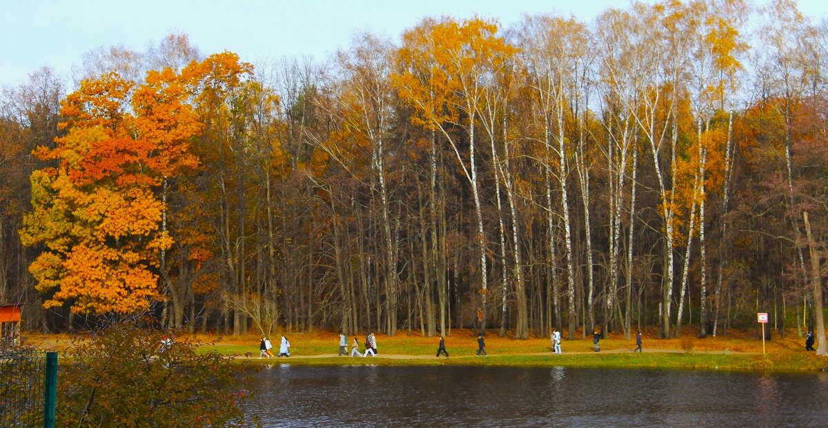 ОСЕННИЙ ПЕЙЗАЖ НА БЕРЕГУ НИЖНЕГО  КУЗЬМИНСКОГО ПРУДА - Валентина 