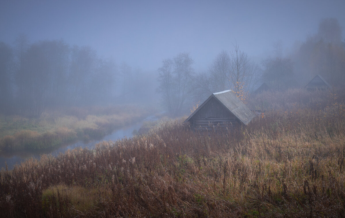 **** - Елизавета .
