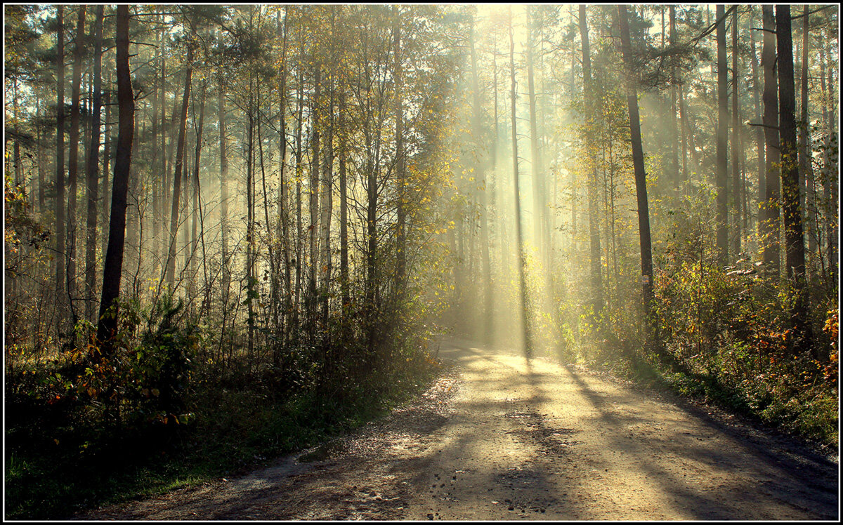 *** - Aleksandr Gal *** - Aleksandr Gal