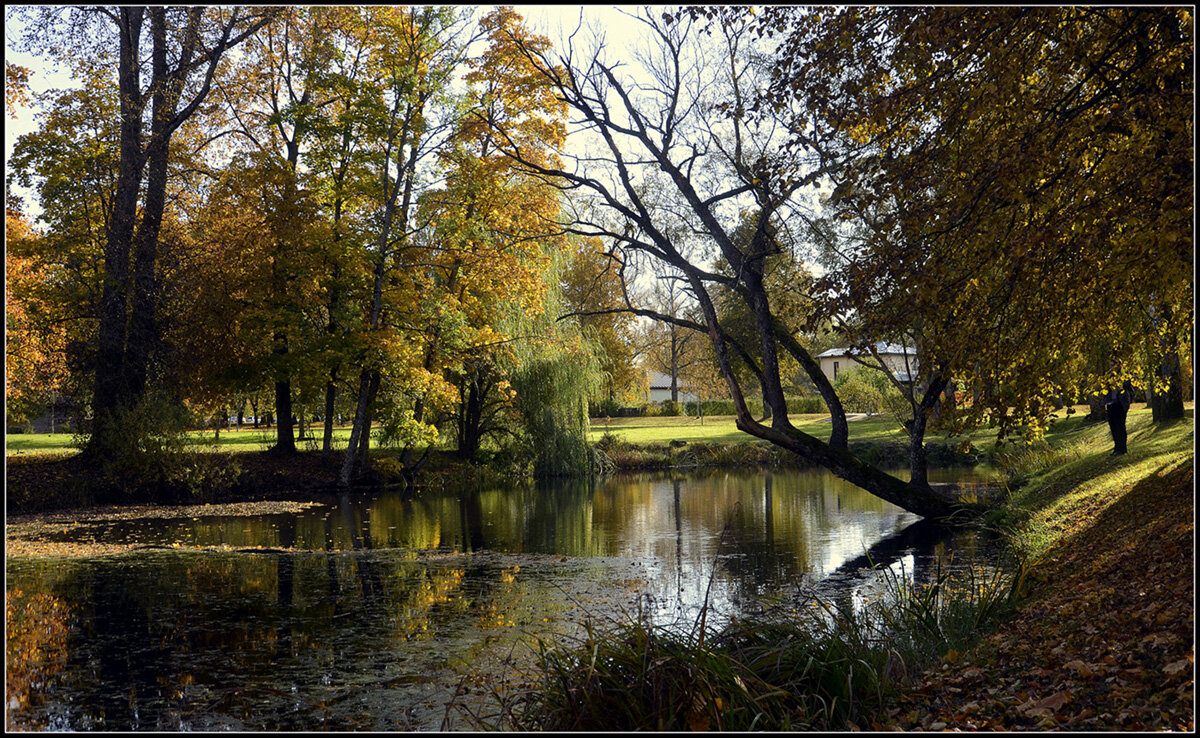 Осенний пруд - Aleksandr Gal Осенний пруд - Aleksandr Gal