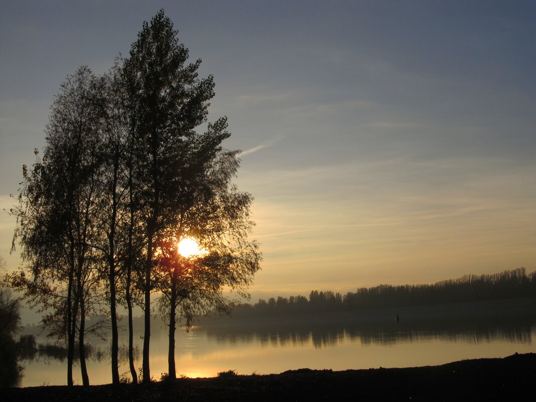 вечер на набережной - Елена Шаламова