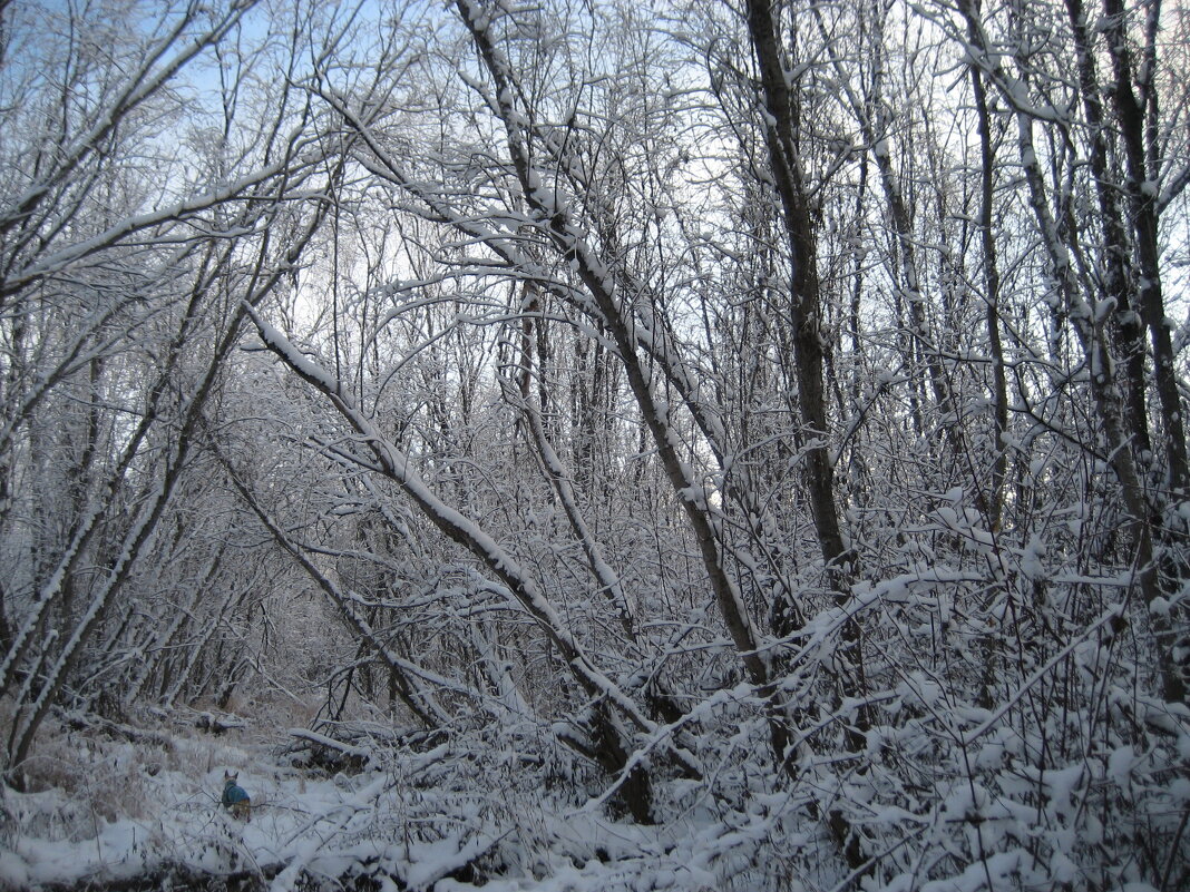 Прогулки по островам - Anna Ivanova