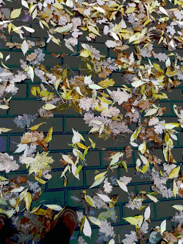 *** - Валентина Береснева