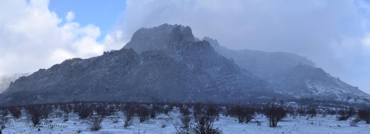 Природа Крыма - Amazing Cosmea