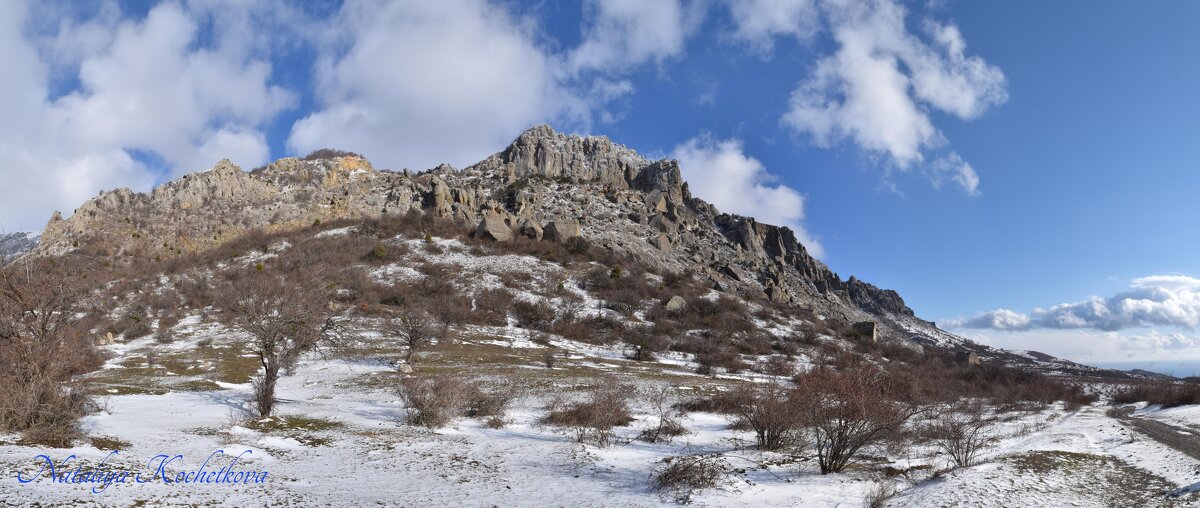 Природа Крыма - Amazing Cosmea