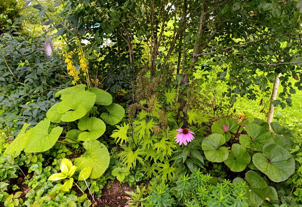 дачное - tatiana 