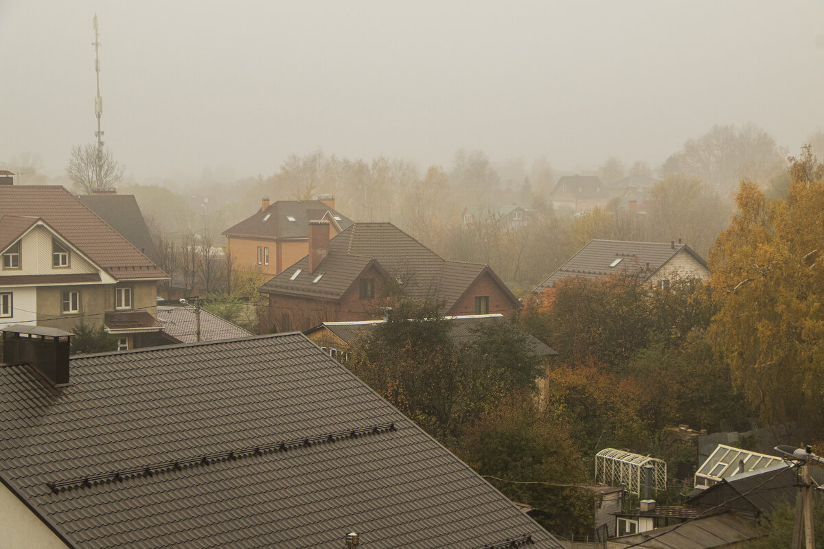 Туман октября. - Петр Беляков