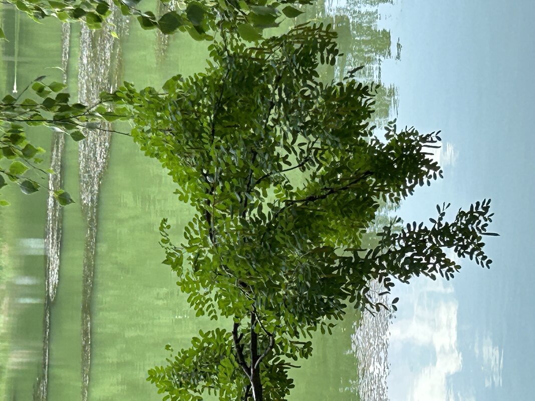 Весна - Натали 