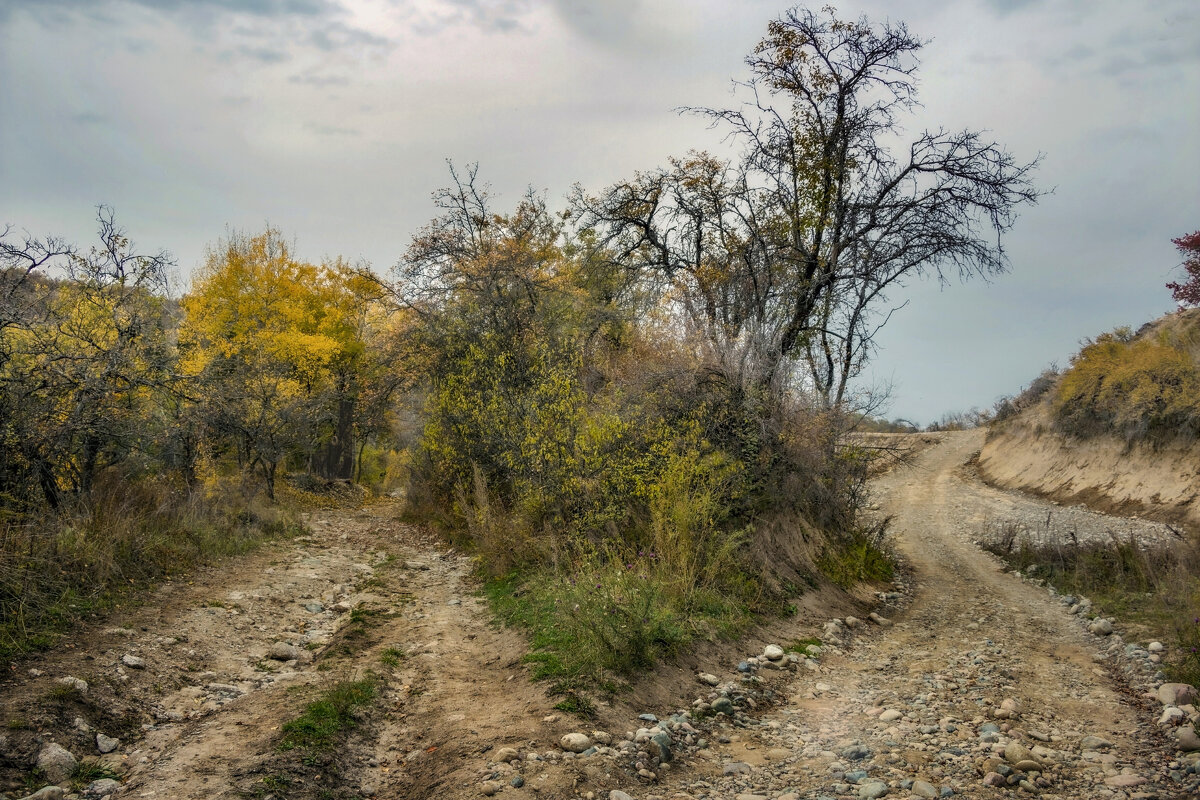 Тропки,дорожки - LudMila 